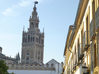 Fototapeta na wymiar Sevilla, beautiful city of Andalusia.Spain
