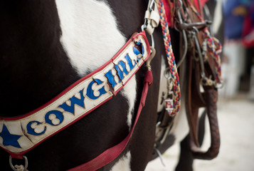 Texas Rodeo