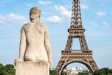 Fototapeta na wymiar Jardins du Trocadero with Eiffel tower, Paris, France