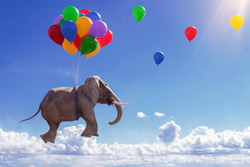 3D Illustration fliegender Elefant mit Luftballons - obrazy, fototapety, plakaty