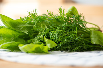 Freshly harvested spinach and dill on a white towel.