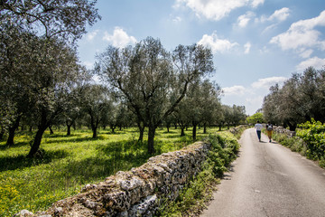 Fototapeta na wymiar two people walking in salento' s countryside, Puglia, Italy