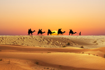 Camel caravan at sunset in the desert dunes