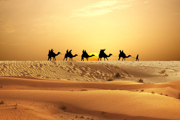 Caravan of camels in Arabian Desert with people silhouettes at sunset