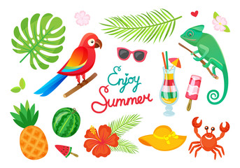 Tropical plants and animals, enjoy summer, cocktails and fruits vector. Parrot and gecko, ice cream and drink, palm leaves and watermelon, pineapple