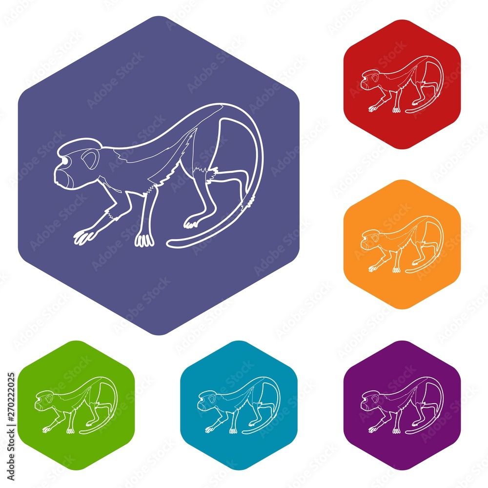 Poster going forward monkey icons vector colorful hexahedron set collection isolated on white