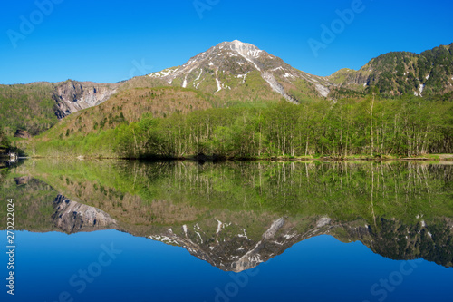 新緑の上高地 大正池湖畔からの焼岳 Wall Mural Wallpaper Murals-omune