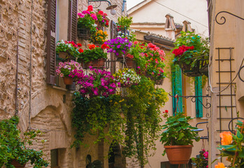 Fototapeta premium Spello: jedna z najpiękniejszych ukwieconych wiosek we Włoszech