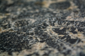 Background or texture from a gray stone with round spots and stains. Natural material. Glossy surface.