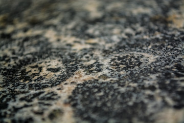 Background or texture from a gray stone with round spots and stains. Natural material. Glossy surface.