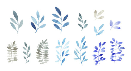 watercolor floral branches