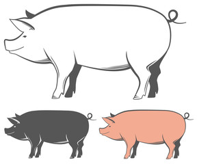 Set of vector labels of pork, meat stores, packages and advertising. And pig silhouettes