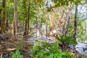 Kuang Si Waterfall from above, Laos