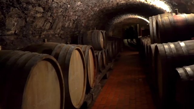 Wine is stored in wooden barrels in an old wine cellar. A lot of wine barrels stacked in a cellar.