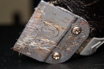 Close Up Of A used pet  Hair Clipper