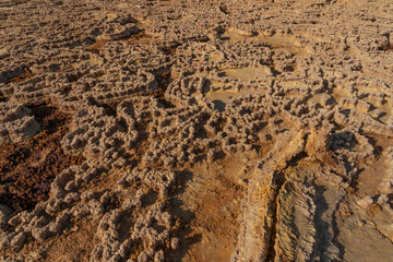 Concretions of salt rocks at Dallol in the Danakil Depression in Ethiopia, Africa.