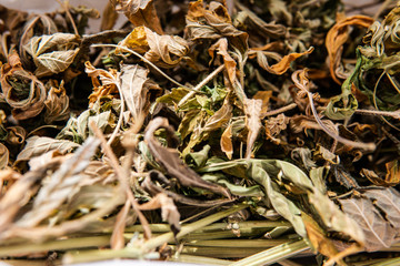dried marijuana leaves close-up