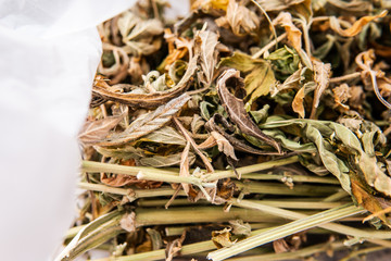 dried marijuana leaves close-up