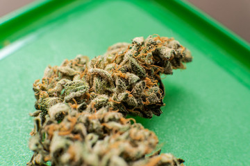 trichomes and terpenes in marijuana elements. Chemical elements in marijuana buds