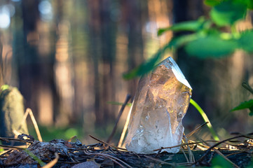 Perfect large shining crystal of transparent quartz in sunlight on spring nature. Gem on pine forest background close-up