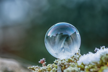 Frozen soap bubble in the garden