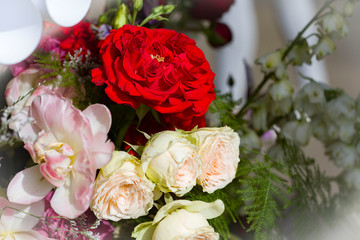 composition of red, pink and white roses on a blurred background.