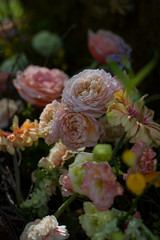  beautiful composition of roses on a blurred dark background lit by the spring sun.