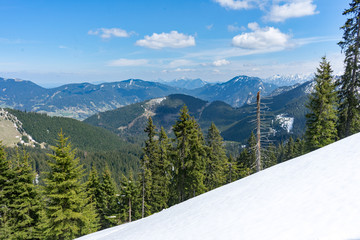 Blick vom Teufelstättkopf  (Ammergauer Alpen) - Bäume und Schnee im Frühling