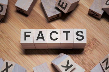 Facts Word In Wooden Cube