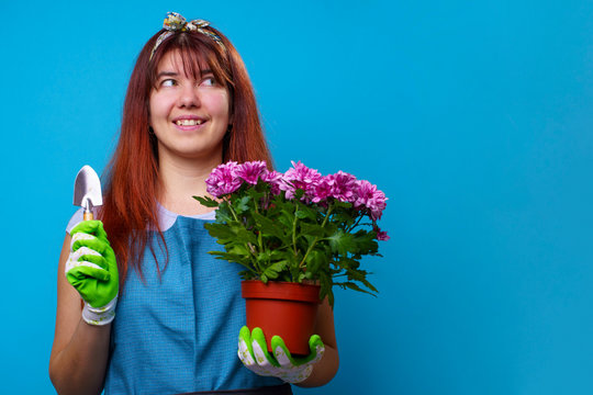 Image of happy brunette with pot of chrysanthemums and an iron shovel