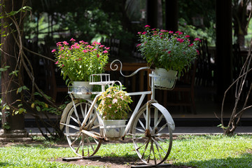 Fototapeta na wymiar ornamental bicycle flowerpot in lush tropical garden