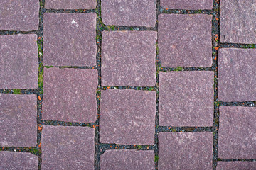 Pflastersteine Altstadt