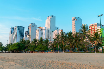 Tropical trees on beach and tall skyscrapers under light of morning sun in golden hour