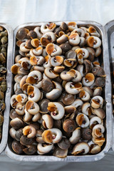 Snails, Street Food stall Ho Chi Minh City, Vietnam