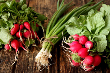 Fresh green onion and radish
