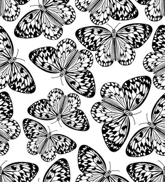 Butterfly monochrome drawing, black line drawing on white background, seamless patterns, textile design
