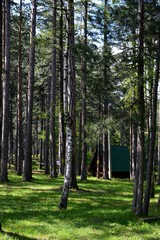 a small house in the forest