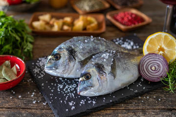 Sea bream ( gilt head ) on the black stone