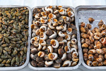 Snails, Street Food stall, Ho Chi Minh City, Vietnam