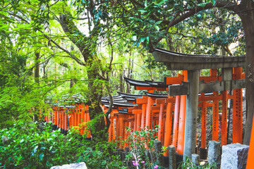 View of Torii along the main path around 10,000 torii gates at Fushimi Inari Taisha Shrine, kyoto Japan.