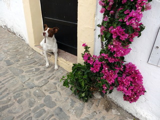 A Alcoutim, au Portugal