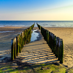 Landscape beach in Zeeland in Holland