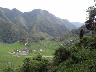 Rizi&egrave;res aux Philippines