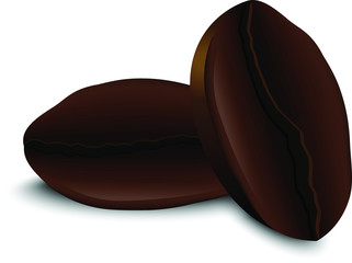 Coffee beans icon on white background, vector illustration