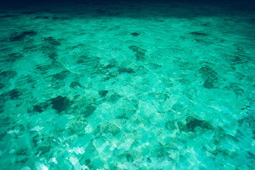 Long-tail boat travel to the island,Phi Phi Island,Blue sea