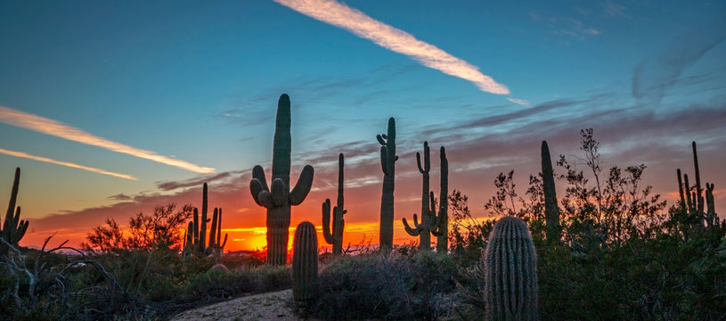 AZ Desert Landscape Image At Sunset