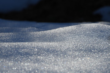 Sol de primptemps 02