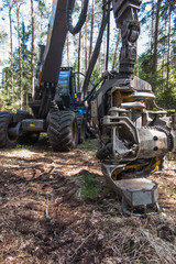 forestry harvester during a stoppage among trees in the forest