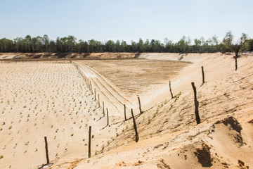afforestation of the former sand mine
