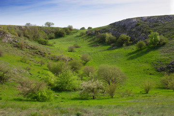 Green ravine in may with blooming cherry at the lower plateau of Chatyr-Dag mountains, Crimea.